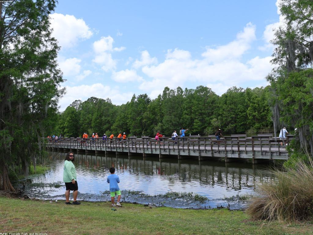 បាញ់ត្រី មិនស្មុគស្មាញ: របៀបសំរាប់អ្នកថ្មី