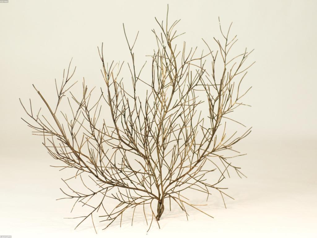 សារៈសំខាន់របស់ឧបករណ៍ និងអេក្រង់ក្នុងការជួយពង្រីកចំណេះទំាងអប់រំ និងការងារ