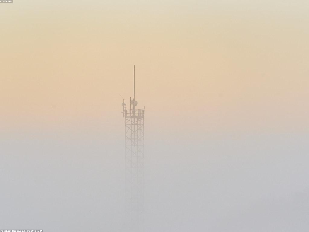 ការប្រើប្រាស់ឧបករណ៍ និងអេក្រង់នៅក្នុងសង្គមទំនើប