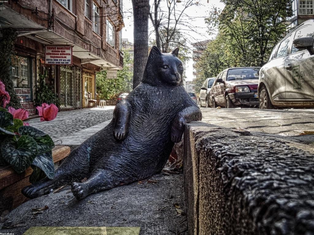 មគ្គុទេសក៍សម្រាប់អ្នកថ្មីក្នុងការស្វែងយល់អំពីការអភិវឌ្ឍន៍ខ្លួន